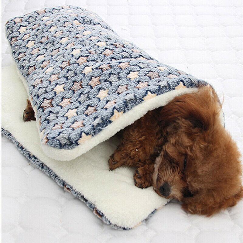 Arlo Pet Cushion Bed – Blue – Large