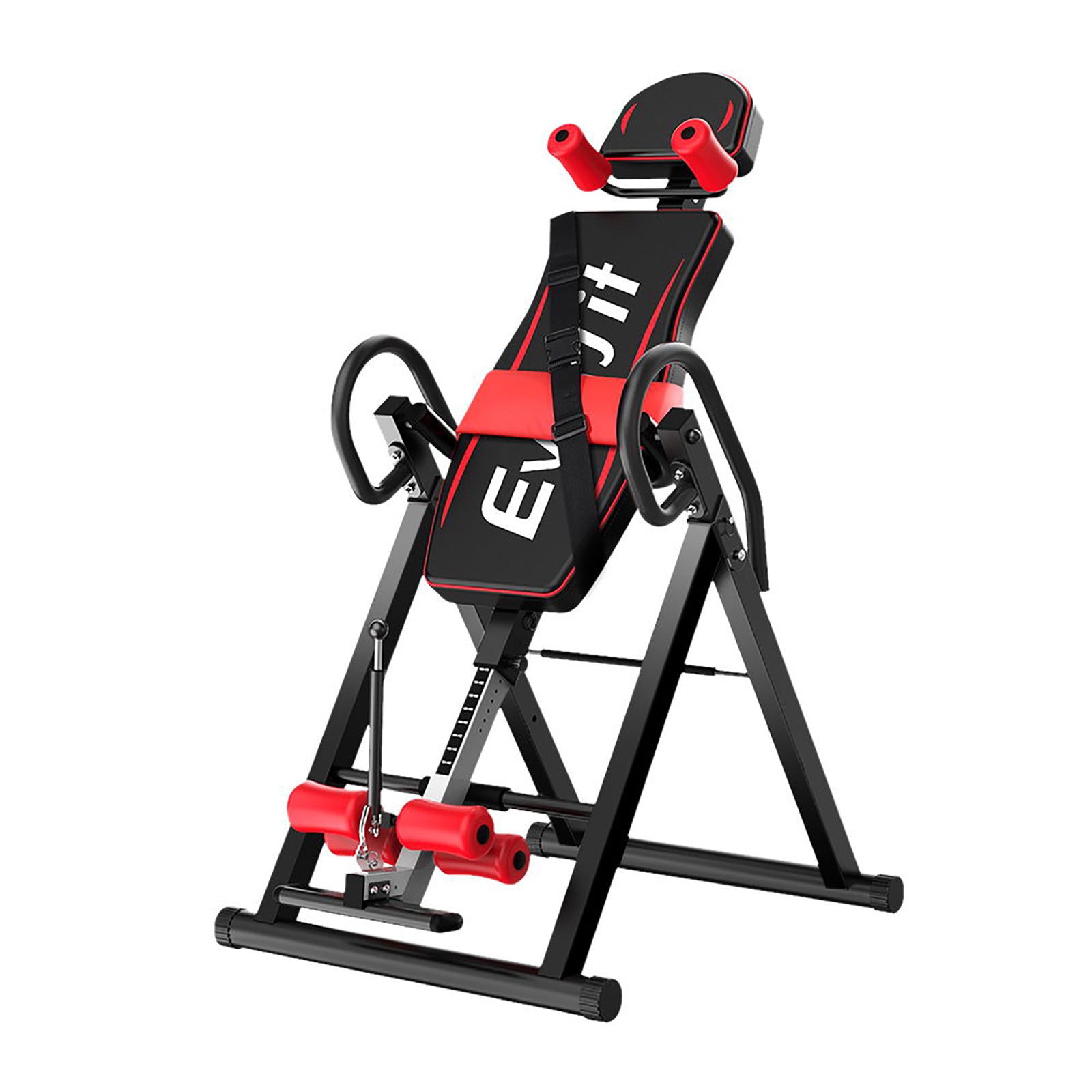 Sports & Fitness