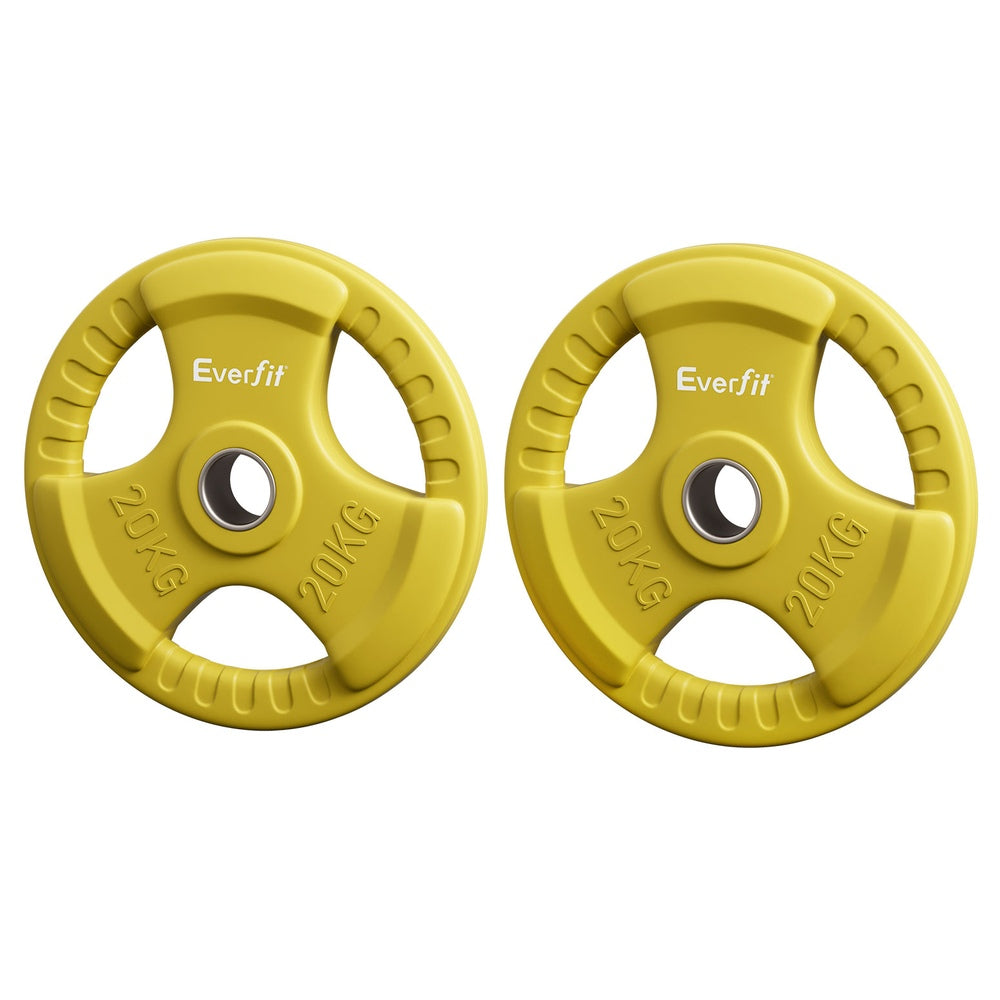 Weight Plates Olympic 20kgx2 Dumbbell Barbell Plate Weight Lifting Home Gym Yellow