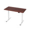 Motorised Standing Desk – Dual Motor, Walnut Look 120cm