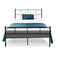 KING SINGLE Size - Powder Coated Metal Bed Frame