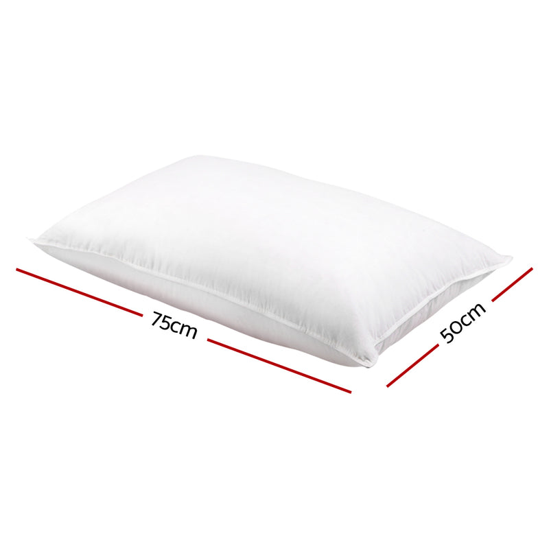 Goose Feather Pillow - Twin Pack