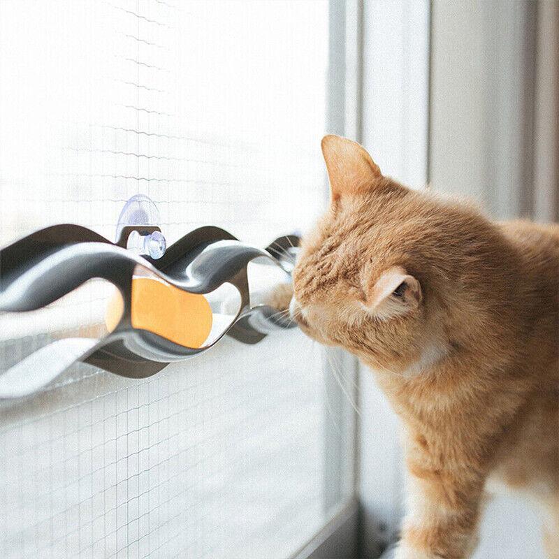 Zenith Interactive Cat Track Ball Toy – Multi – Standard