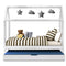 SINGLE Size - Wooden Trundle Bed Frame - White